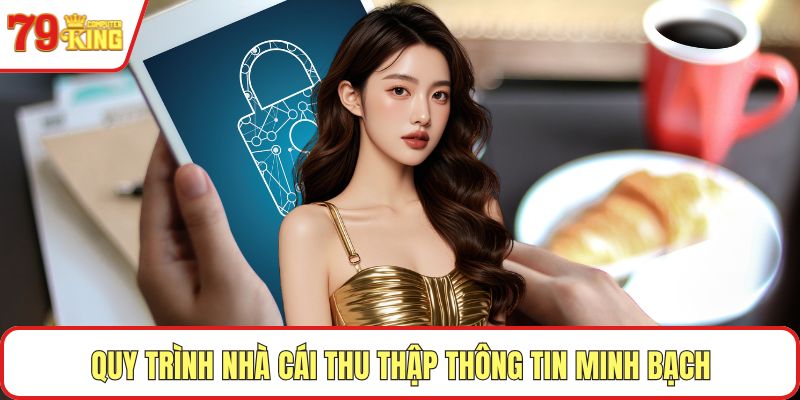Quy trình nhà cái thu thập thông tin minh bạch