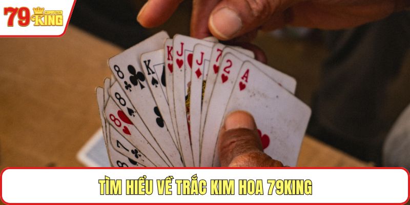 Tìm hiểu về Trắc Kim Hoa 79KING